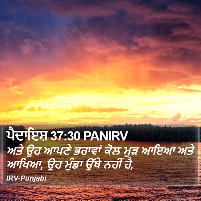 ਪੈਦਾਇਸ਼ 37:30 PANIRV Bible Verse Image