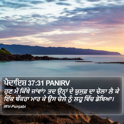 ਪੈਦਾਇਸ਼ 37:31 PANIRV Bible Verse Image