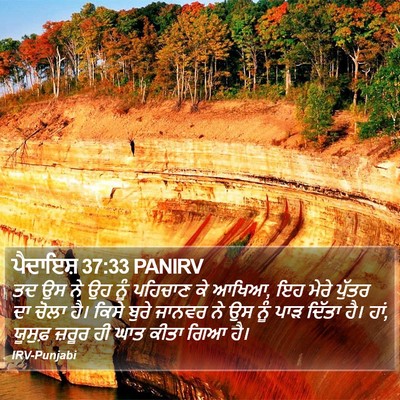 ਪੈਦਾਇਸ਼ 37:33 PANIRV Bible Verse Image