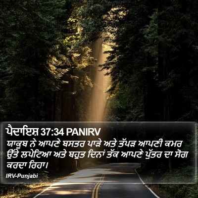 ਪੈਦਾਇਸ਼ 37:34 PANIRV Bible Verse Image