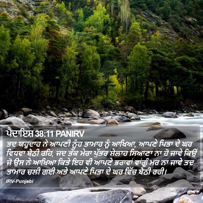 ਪੈਦਾਇਸ਼ 38:11 PANIRV Bible Verse Image