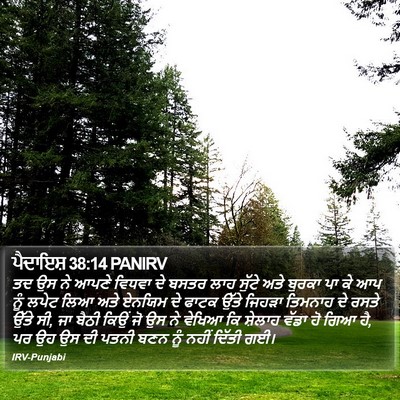 ਪੈਦਾਇਸ਼ 38:14 PANIRV Bible Verse Image