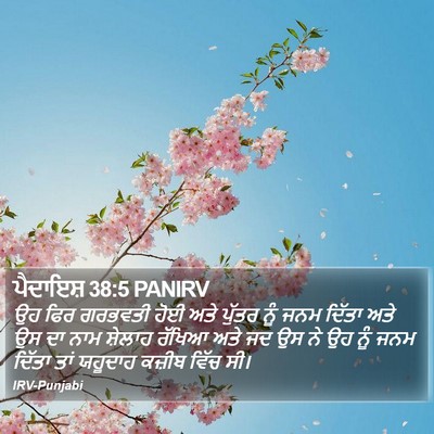 ਪੈਦਾਇਸ਼ 38:5 PANIRV Bible Verse Image