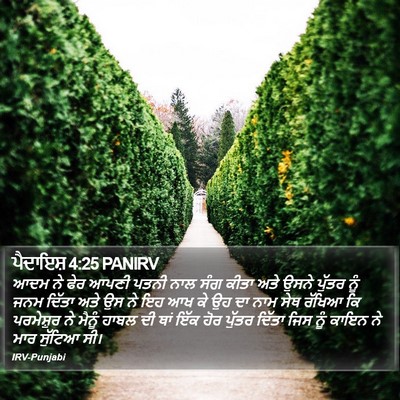 ਪੈਦਾਇਸ਼ 4:25 PANIRV Bible Verse Image