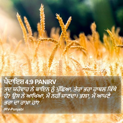 ਪੈਦਾਇਸ਼ 4:9 PANIRV Bible Verse Image