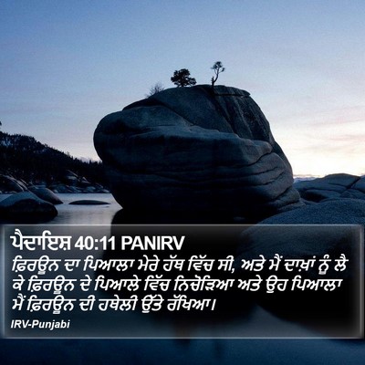 ਪੈਦਾਇਸ਼ 40:11 PANIRV Bible Verse Image