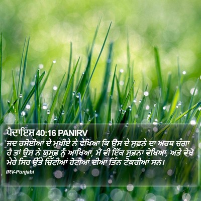 ਪੈਦਾਇਸ਼ 40:16 PANIRV Bible Verse Image