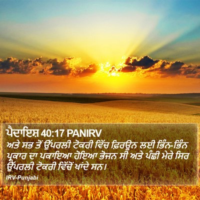 ਪੈਦਾਇਸ਼ 40:17 PANIRV Bible Verse Image