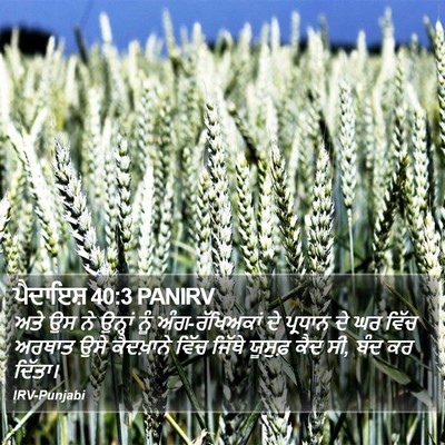 ਪੈਦਾਇਸ਼ 40:3 PANIRV Bible Verse Image