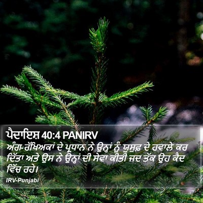 ਪੈਦਾਇਸ਼ 40:4 PANIRV Bible Verse Image