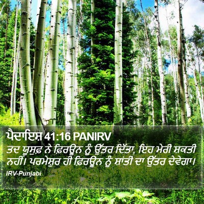 ਪੈਦਾਇਸ਼ 41:16 PANIRV Bible Verse Image