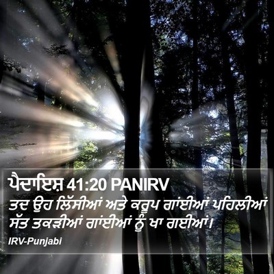 ਪੈਦਾਇਸ਼ 41:20 PANIRV Bible Verse Image