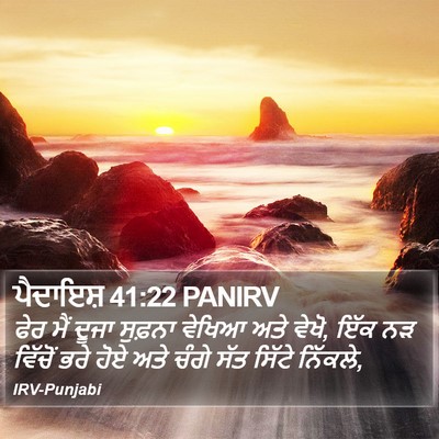 ਪੈਦਾਇਸ਼ 41:22 PANIRV Bible Verse Image