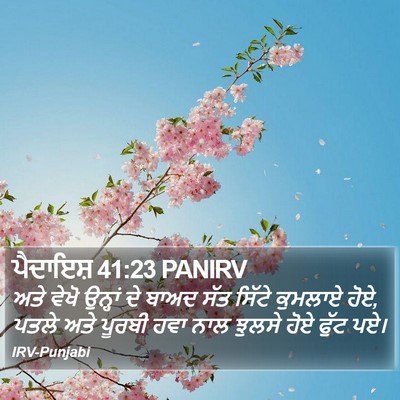 ਪੈਦਾਇਸ਼ 41:23 PANIRV Bible Verse Image