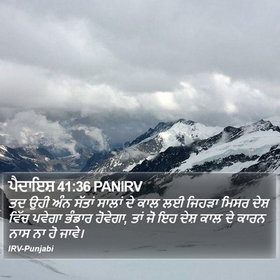 ਪੈਦਾਇਸ਼ 41:36 PANIRV Bible Verse Image