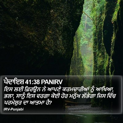 ਪੈਦਾਇਸ਼ 41:38 PANIRV Bible Verse Image