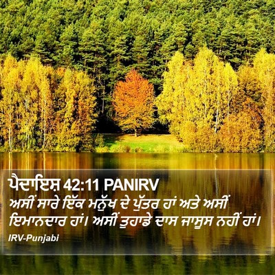 ਪੈਦਾਇਸ਼ 42:11 PANIRV Bible Verse Image