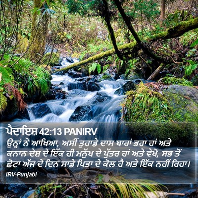 ਪੈਦਾਇਸ਼ 42:13 PANIRV Bible Verse Image