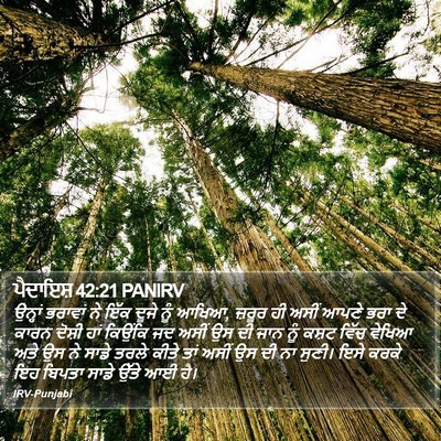 ਪੈਦਾਇਸ਼ 42:21 PANIRV Bible Verse Image