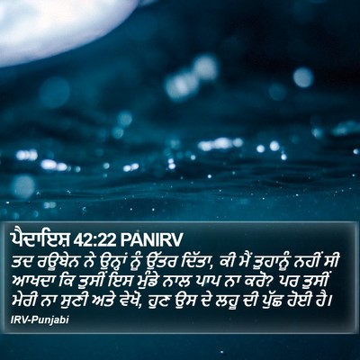 ਪੈਦਾਇਸ਼ 42:22 PANIRV Bible Verse Image