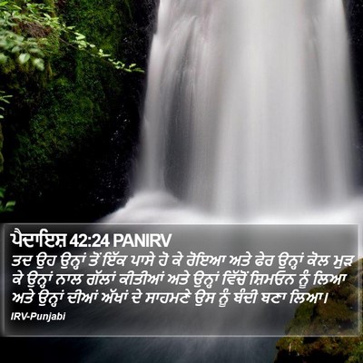 ਪੈਦਾਇਸ਼ 42:24 PANIRV Bible Verse Image