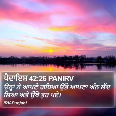 ਪੈਦਾਇਸ਼ 42:26 PANIRV Bible Verse Image