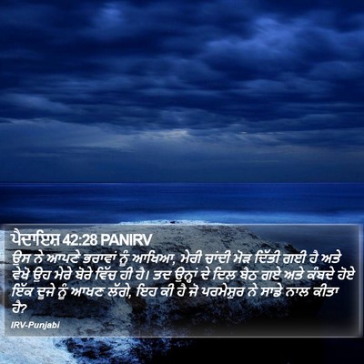 ਪੈਦਾਇਸ਼ 42:28 PANIRV Bible Verse Image