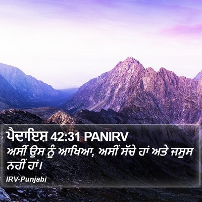ਪੈਦਾਇਸ਼ 42:31 PANIRV Bible Verse Image