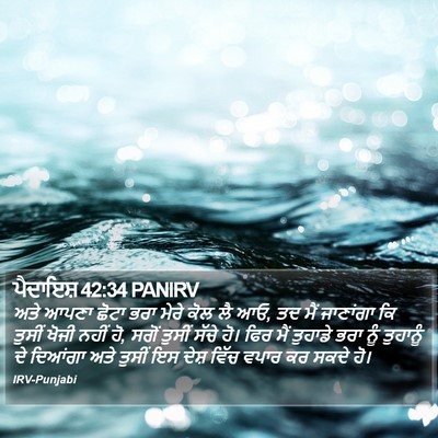 ਪੈਦਾਇਸ਼ 42:34 PANIRV Bible Verse Image