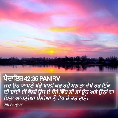 ਪੈਦਾਇਸ਼ 42:35 PANIRV Bible Verse Image