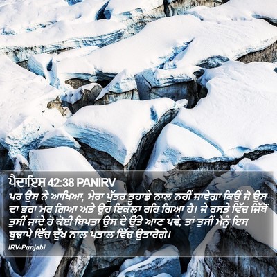 ਪੈਦਾਇਸ਼ 42:38 PANIRV Bible Verse Image