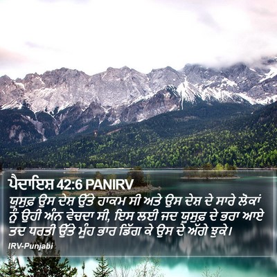 ਪੈਦਾਇਸ਼ 42:6 PANIRV Bible Verse Image