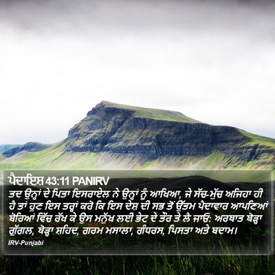 ਪੈਦਾਇਸ਼ 43:11 PANIRV Bible Verse Image
