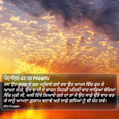 ਪੈਦਾਇਸ਼ 43:18 PANIRV Bible Verse Image