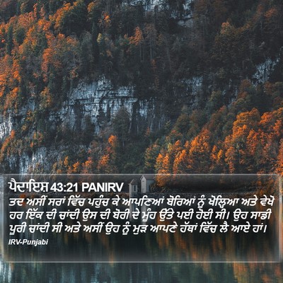 ਪੈਦਾਇਸ਼ 43:21 PANIRV Bible Verse Image
