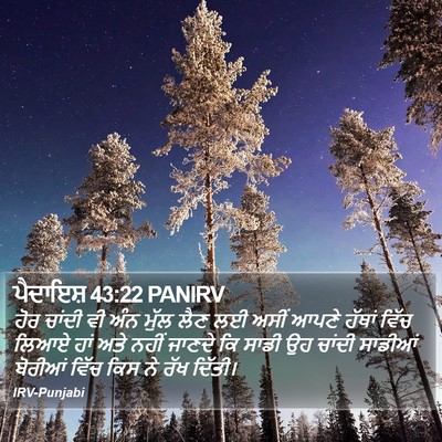 ਪੈਦਾਇਸ਼ 43:22 PANIRV Bible Verse Image