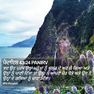 ਪੈਦਾਇਸ਼ 43:24 PANIRV Bible Verse Image