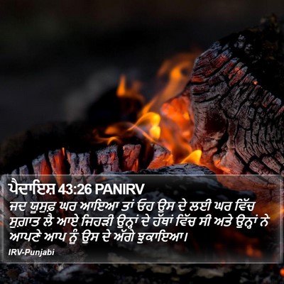 ਪੈਦਾਇਸ਼ 43:26 PANIRV Bible Verse Image