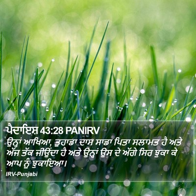 ਪੈਦਾਇਸ਼ 43:28 PANIRV Bible Verse Image