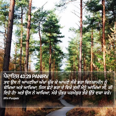 ਪੈਦਾਇਸ਼ 43:29 PANIRV Bible Verse Image