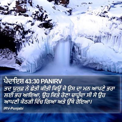 ਪੈਦਾਇਸ਼ 43:30 PANIRV Bible Verse Image
