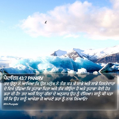 ਪੈਦਾਇਸ਼ 43:7 PANIRV Bible Verse Image