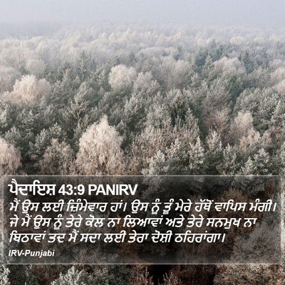 ਪੈਦਾਇਸ਼ 43:9 PANIRV Bible Verse Image