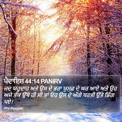 ਪੈਦਾਇਸ਼ 44:14 PANIRV Bible Verse Image