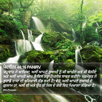 ਪੈਦਾਇਸ਼ 44:16 PANIRV Bible Verse Image