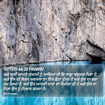 ਪੈਦਾਇਸ਼ 44:20 PANIRV Bible Verse Image