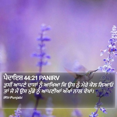 ਪੈਦਾਇਸ਼ 44:21 PANIRV Bible Verse Image