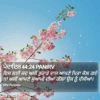 ਪੈਦਾਇਸ਼ 44:24 PANIRV Bible Verse Image