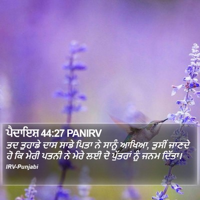 ਪੈਦਾਇਸ਼ 44:27 PANIRV Bible Verse Image