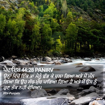ਪੈਦਾਇਸ਼ 44:28 PANIRV Bible Verse Image